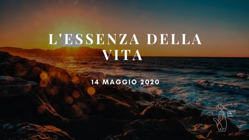 L'Essenza della Vita - Gratuito